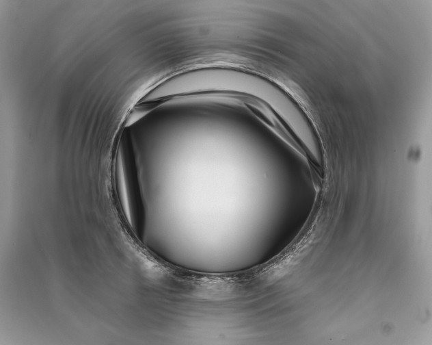 X0000090700850200708101440