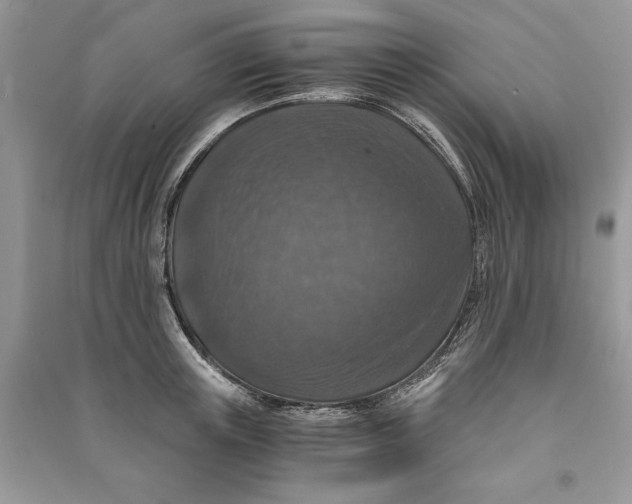 X0000090700851200708101440