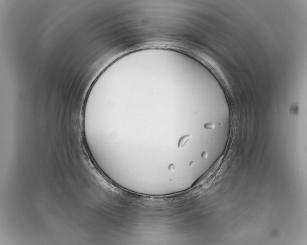 X0000090700852200708101440