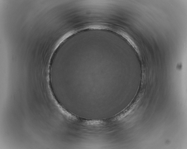 X0000090700853200708101440