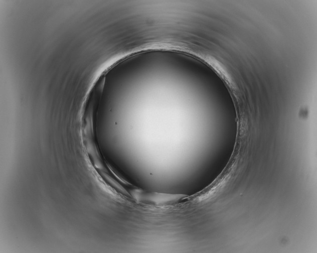 X0000090700854200708101440