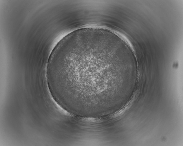 X0000090700855200708101440