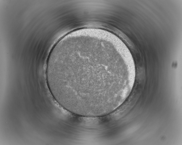 X0000090700856200708101440