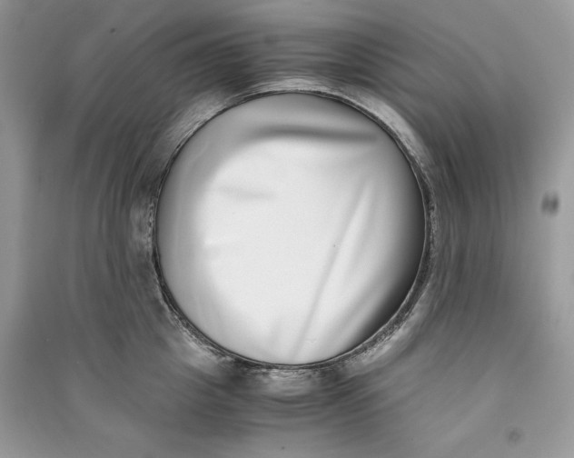 X0000090700857200708101440