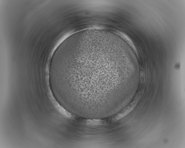 X0000090700859200708101440