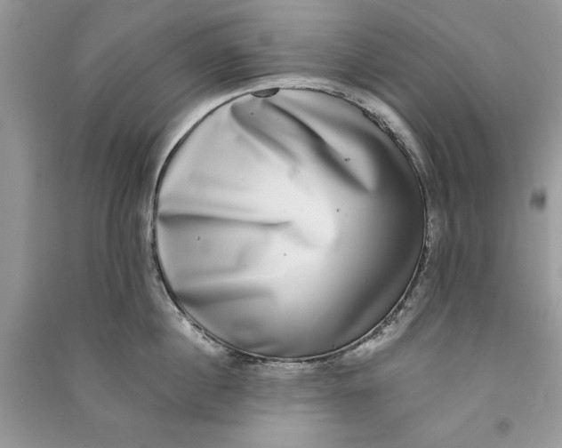 X0000090700860200708101440