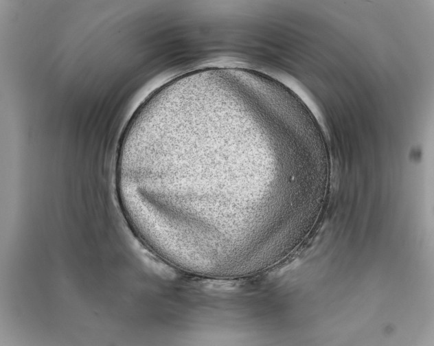 X0000090700861200708101440