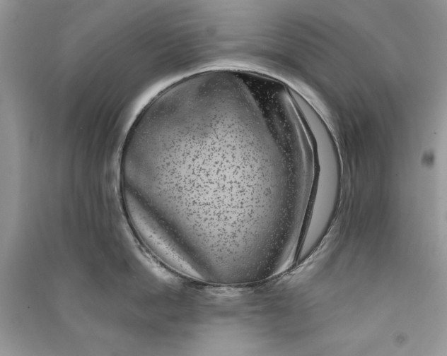 X0000090700862200708101440