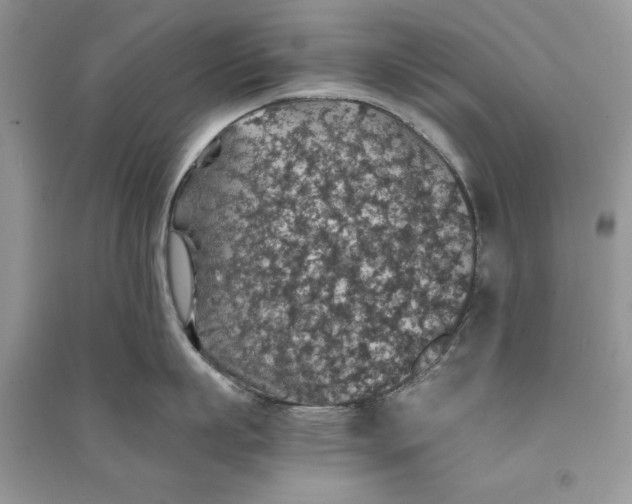 X0000090700863200708101440