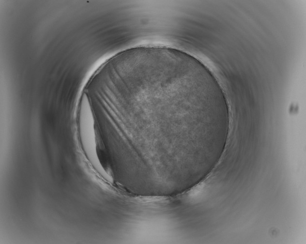 X0000090700864200708101440