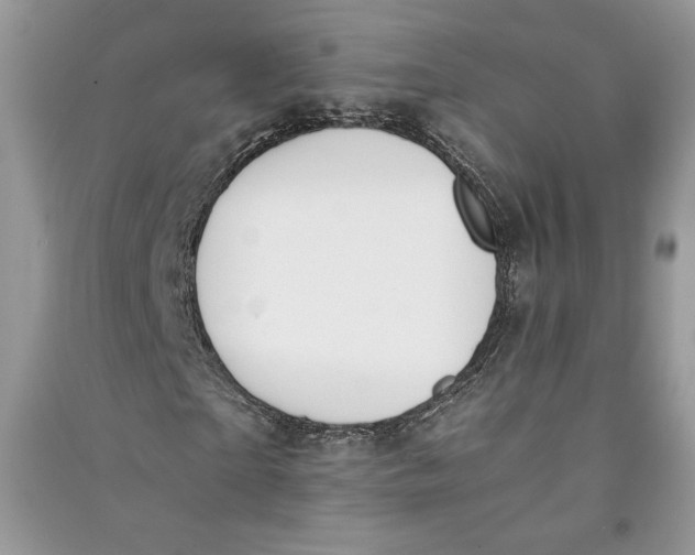 X0000090700865200708101440