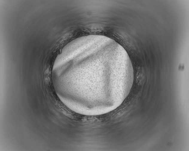 X0000090700866200708101440