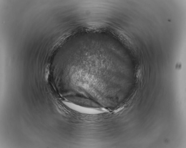 X0000090700868200708101440