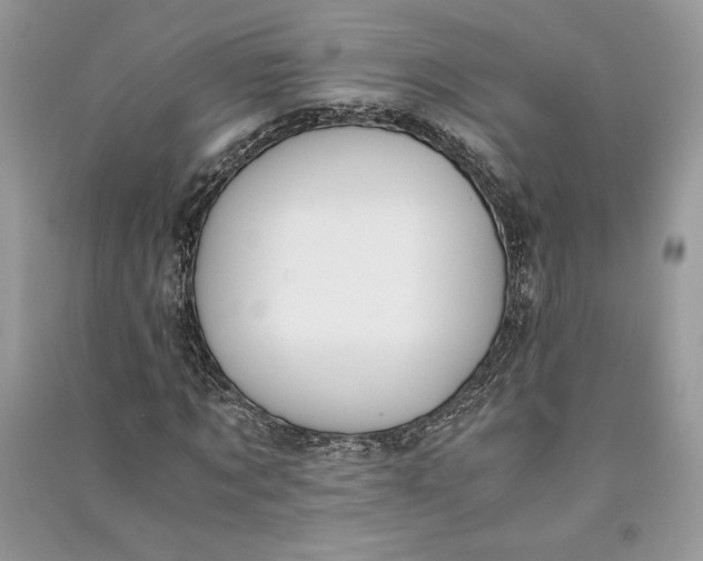 X0000090700869200708101439