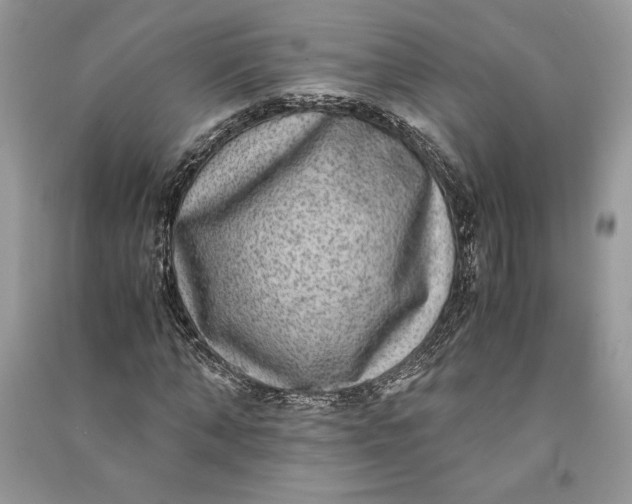 X0000090700870200708101439