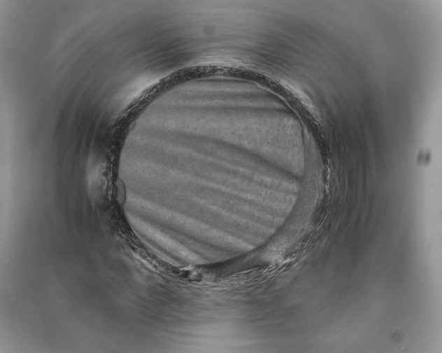 X0000090700872200708101439