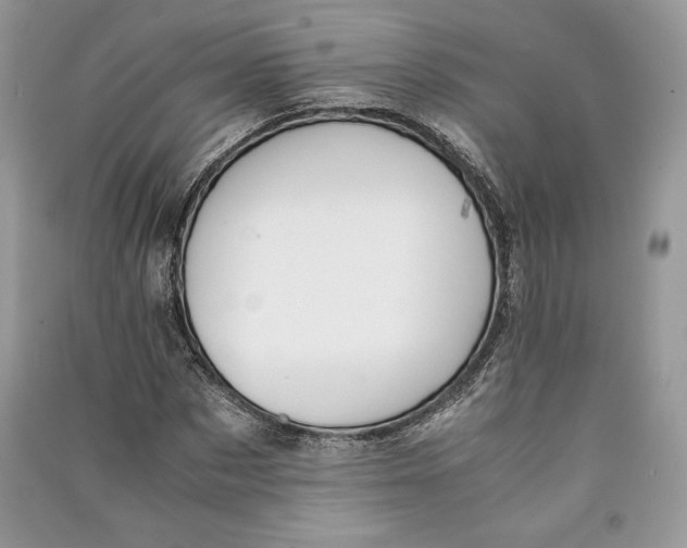 X0000090700873200708101439