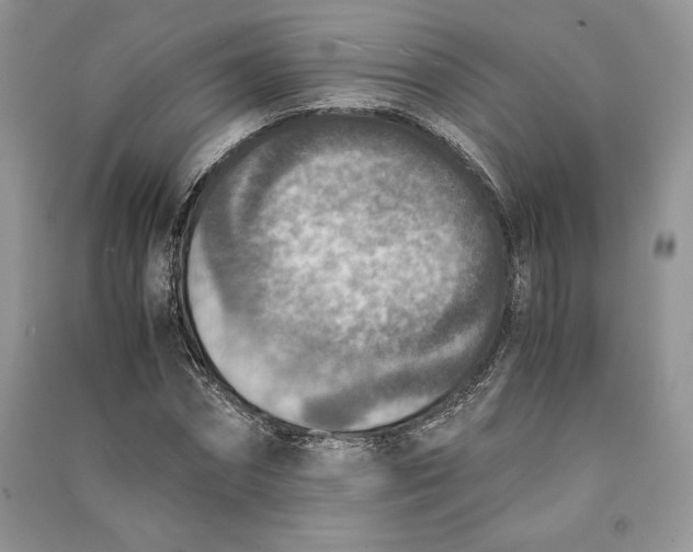 X0000090700874200708101439