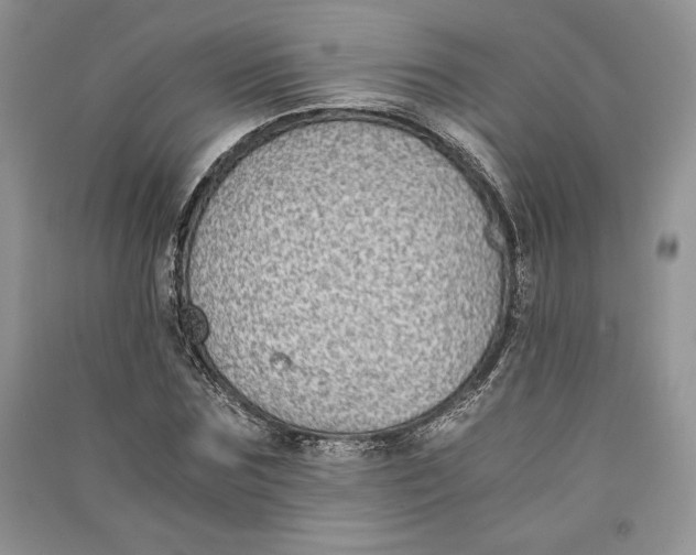 X0000090700875200708101439
