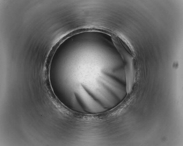 X0000090700876200708101439