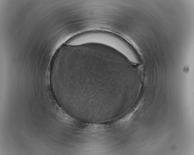 X0000090700877200708101439