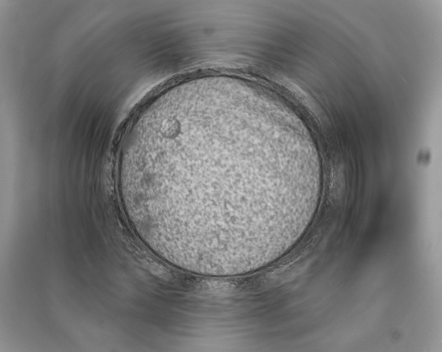 X0000090700878200708101439