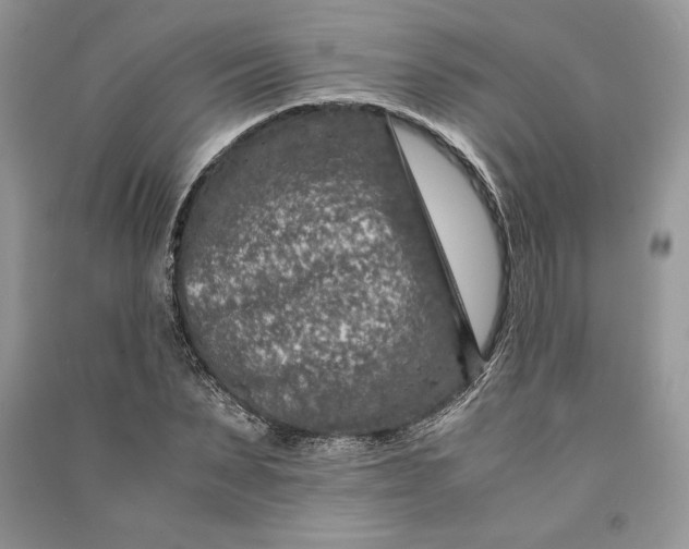 X0000090700879200708101439
