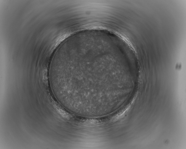 X0000090700881200708101439