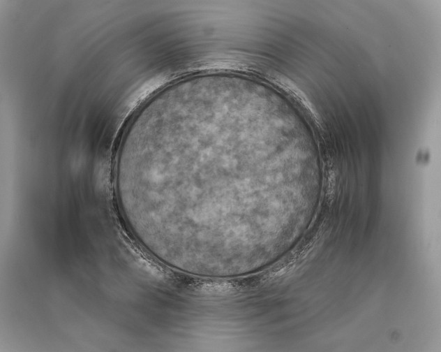 X0000090700882200708101439