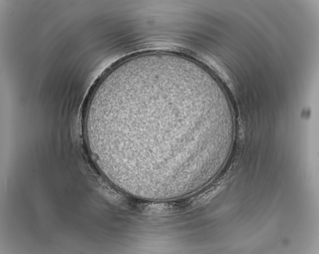 X0000090700883200708101439