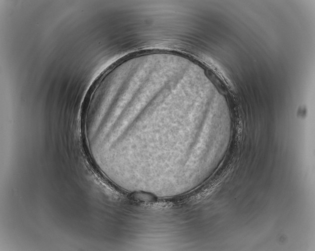 X0000090700884200708101439