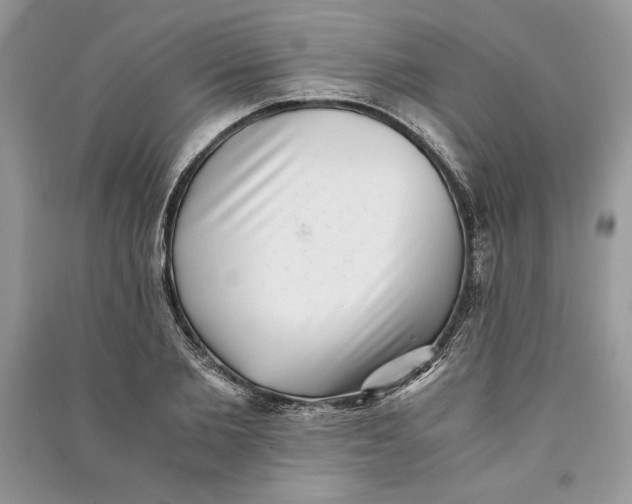 X0000090700885200708101439