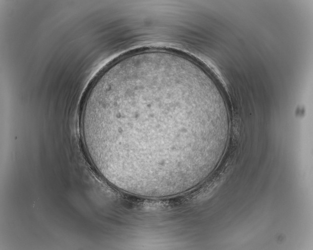 X0000090700887200708101439