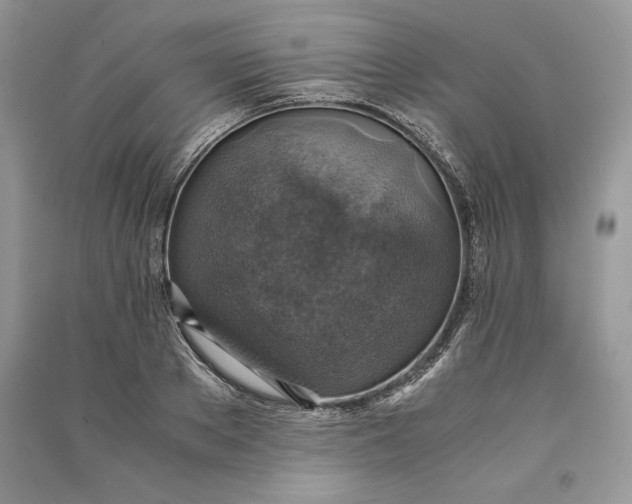 X0000090700889200708101439
