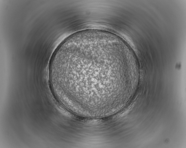 X0000090700891200708101439