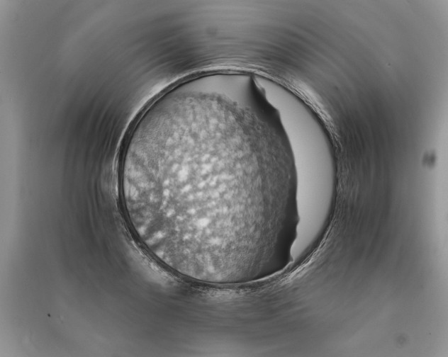 X0000090700892200708101439