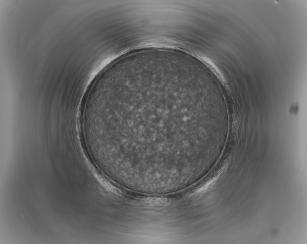 X0000090700893200708101439