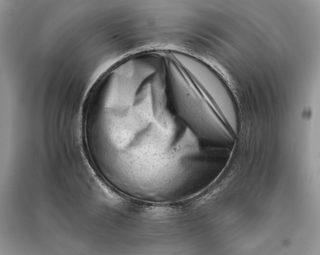 X0000090700894200708101439