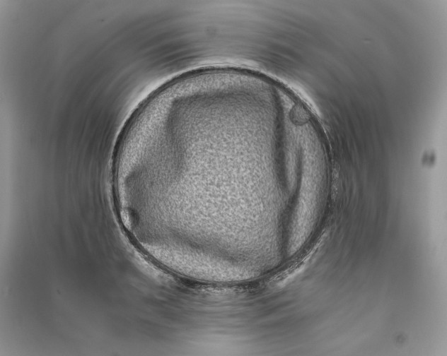 X0000090700895200708101439