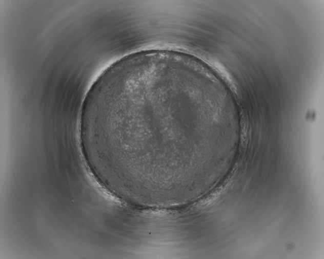 X0000090700896200708101439