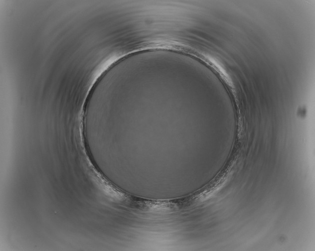 X0000090700899200708101439