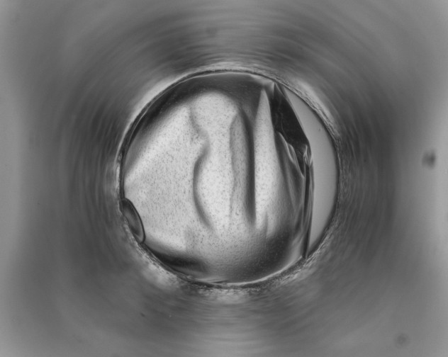 X0000090700900200708101439