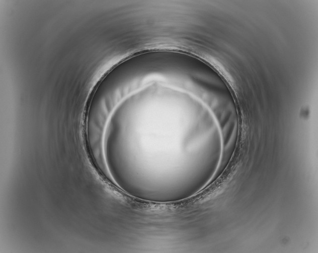 X0000090700901200708101439