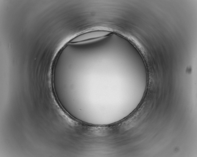 X0000090700902200708101439