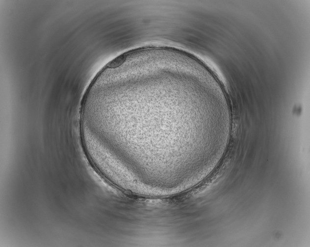 X0000090700903200708101439