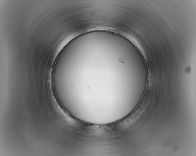 X0000090700906200708101439