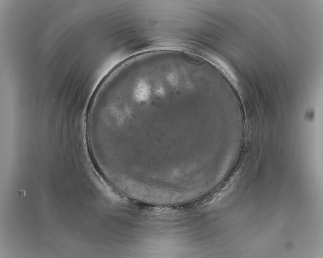 X0000090700907200708101439