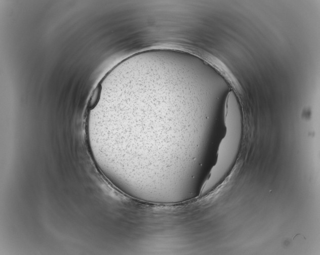 X0000090700908200708101439