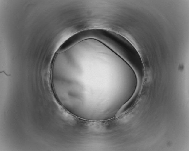 X0000090700909200708101439