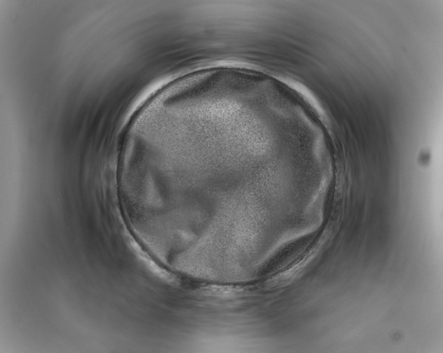 X0000090700910200708101439